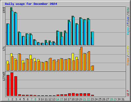 Daily usage for December 2024