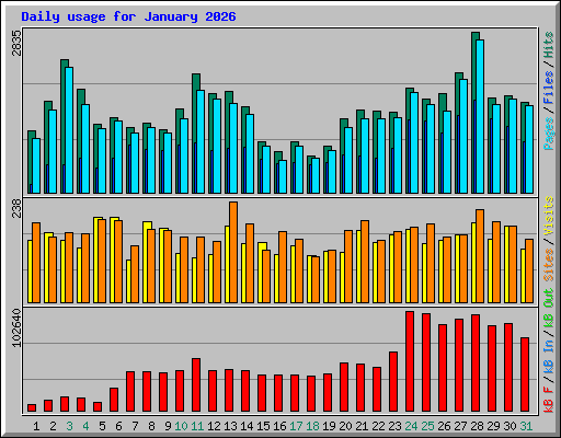 Daily usage for January 2026