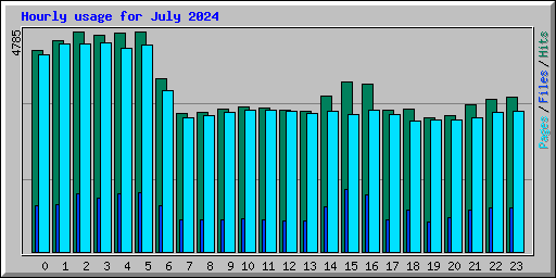 Hourly usage for July 2024