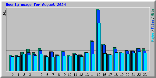 Hourly usage for August 2024