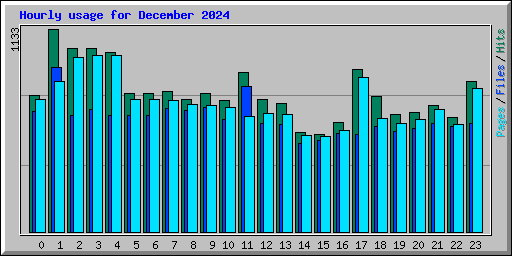 Hourly usage for December 2024