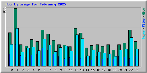 Hourly usage for February 2025