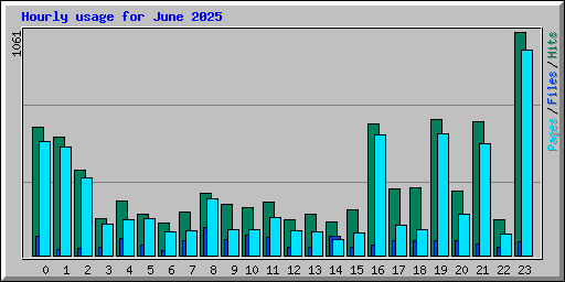 Hourly usage for June 2025