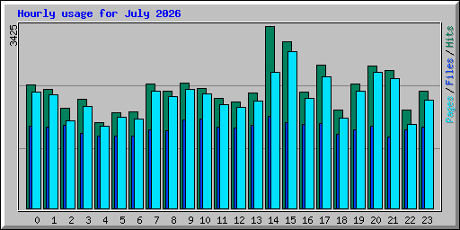 Hourly usage for July 2026