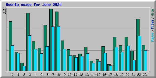 Hourly usage for June 2024