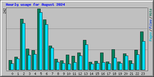 Hourly usage for August 2024