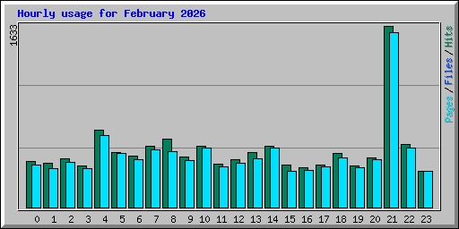 Hourly usage for February 2026