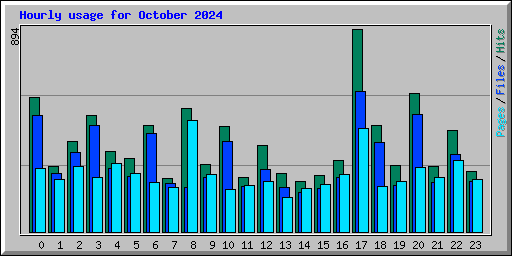 Hourly usage for October 2024