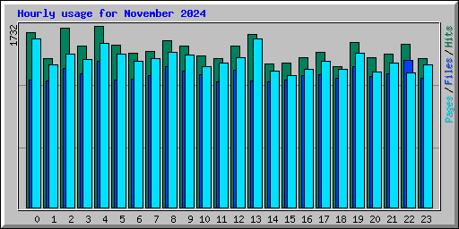 Hourly usage for November 2024