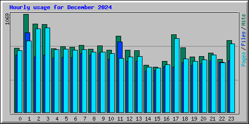 Hourly usage for December 2024