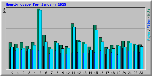 Hourly usage for January 2025