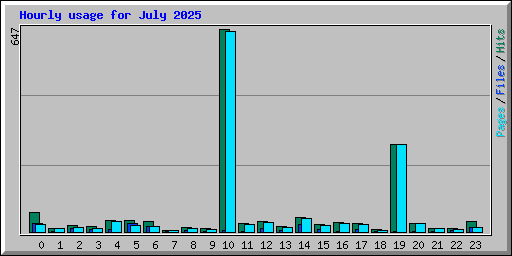 Hourly usage for July 2025
