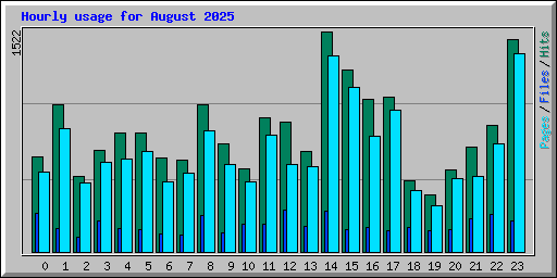 Hourly usage for August 2025