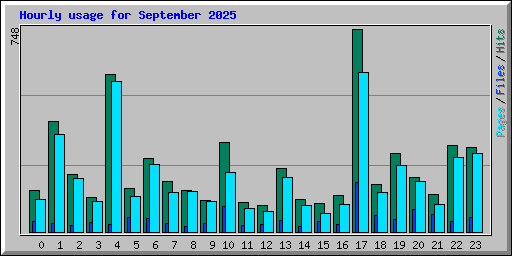 Hourly usage for September 2025