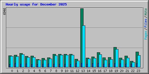 Hourly usage for December 2025