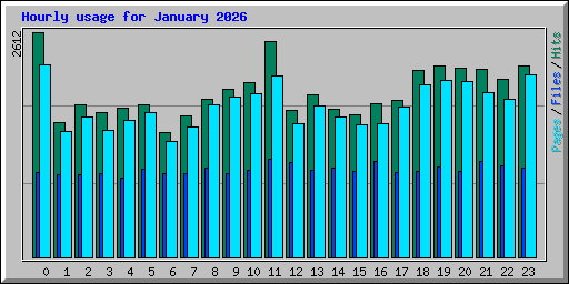 Hourly usage for January 2026