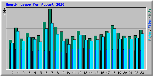 Hourly usage for August 2026