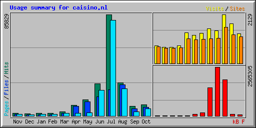 Usage summary for caisino.nl