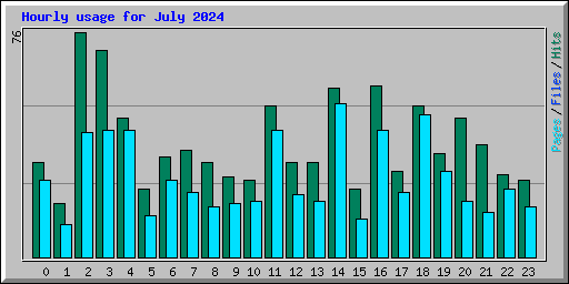 Hourly usage for July 2024