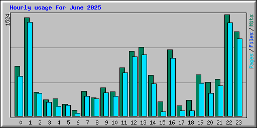 Hourly usage for June 2025