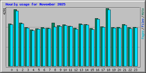 Hourly usage for November 2025