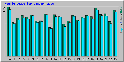 Hourly usage for January 2026
