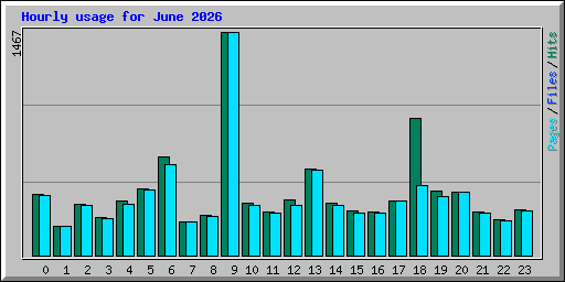 Hourly usage for June 2026